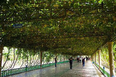 《逃离塔科夫》即将上线0.14.1版本 移除地图上的积雪